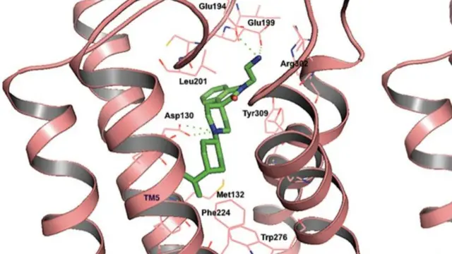 структура вещества
