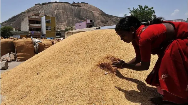 ధాన్యం కొనుగోళ్లు రైతు