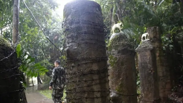 أسوار من الخرسانة وُضعت في المناطق الخطرة لمحاولة منع الأفيال من دخولها