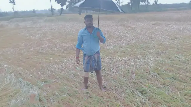 பருவம் தப்பிப் பெய்த மழையால் நெற்பயிர்கள் சேதம்: அரசின் நிவாரணம் போதுமானதா?