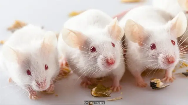 वायु प्रदूषण, प्रदूषण