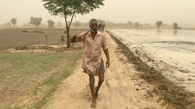 விவசாயம்