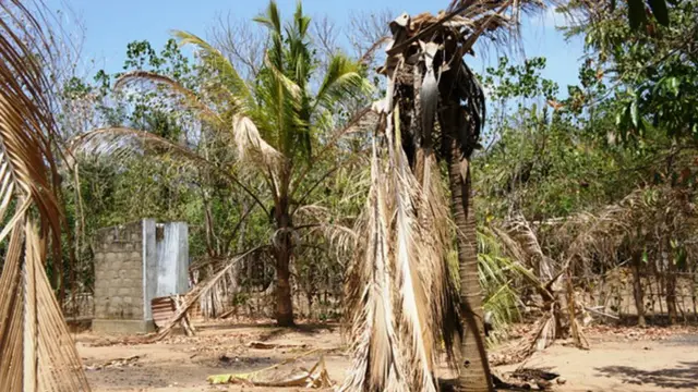 නියඟයෙන් විනාශ වූ වගාවක්