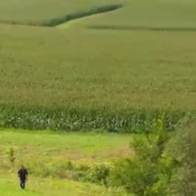 Поисковая операция