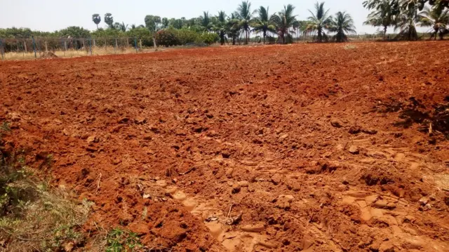 பஞ்சாபி விவசாயிகள்