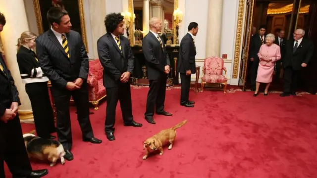 Королева на встрече с командой регби из Новой Зеландии