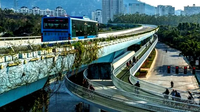 ਚੀਨ ਦੇ ਇਸ ਜ਼ਿਆਮਿਨ ਸ਼ਹਿਰ ਵਾਂਗ ਦੁਨੀਆਂ ਦੇ ਕਈ ਸ਼ਹਿਰਾਂ ਵਿੱਚ ਸਾਈਕਲ ਚਲਾਉਣ ਲਈ ਵੱਖਰੀਆਂ ਲੇਨਾਂ ਤਿਆਰ ਕੀਤੀਆਂ ਜਾ ਰਹੀਆਂ ਹਨ।