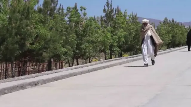 افغان، یونیورسٹی، تعلیم