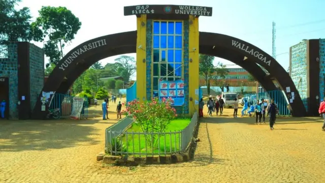 Karra seensaa Yunivarsiitii Wallaggaa