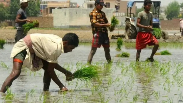 ਰੁਜ਼ਗਾਰ