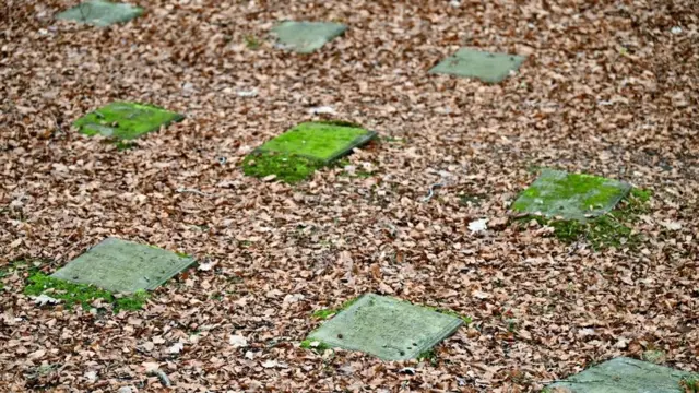 Pequeñas lozas de piedra marcan las tumbas de los descerebrados en el cementerio en Nykobing Sjaelland,