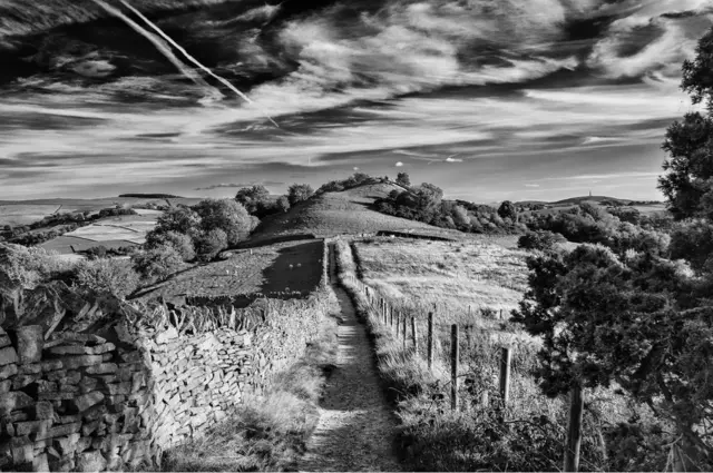 Paisaje en blanco y negro