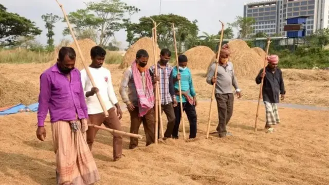 ক্ষেতে লাঠিহাতে কয়েকজন ব্যক্তি