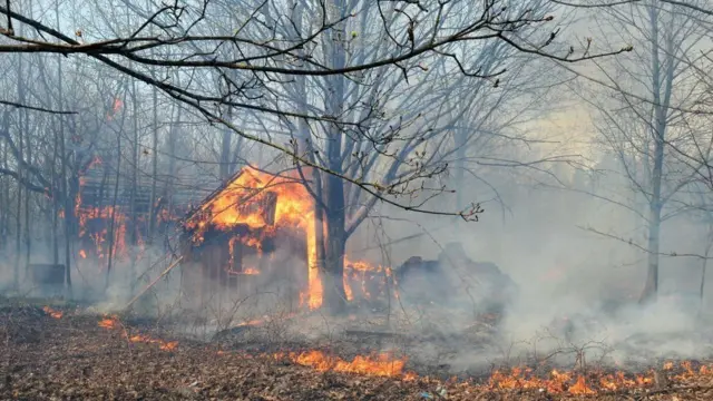 спалювання