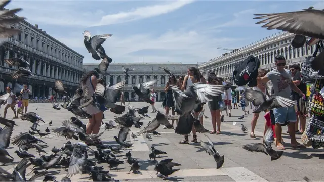 খোলা যায়গাতেও শরীরে কবুতরের বিষ্ঠা লাগতে পারে।