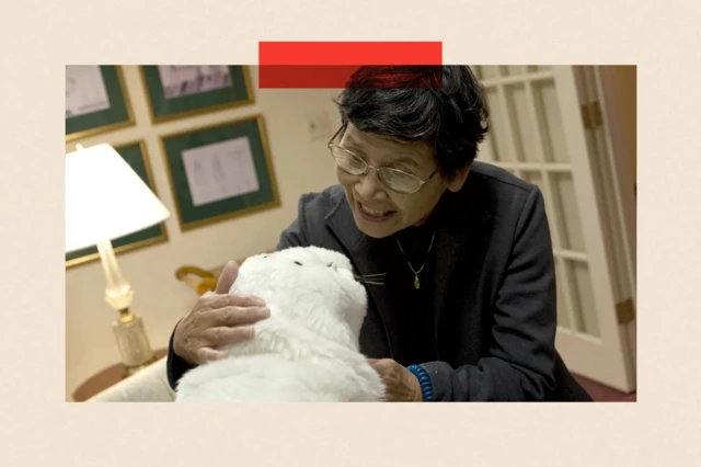 Пожилая японская женщина гладит робота-тюленя.