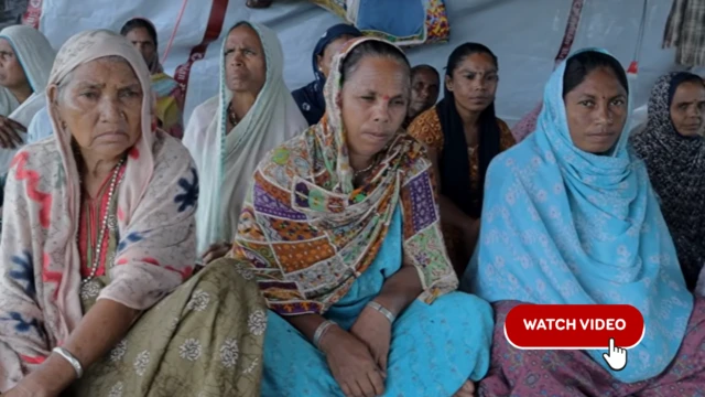 આદિવાસી મહિલાઓ પણ આંદોલનમાં જોડાઈ છે.