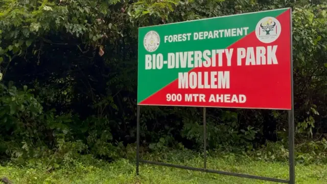 मोले नॅशनल पार्क UNESCO नं 'जागतिक वारसा' ठरवलेल्या पश्चिम घाटाचा महत्वाचा भाग.