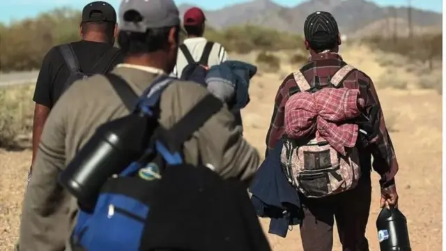 स्थलांतरित 