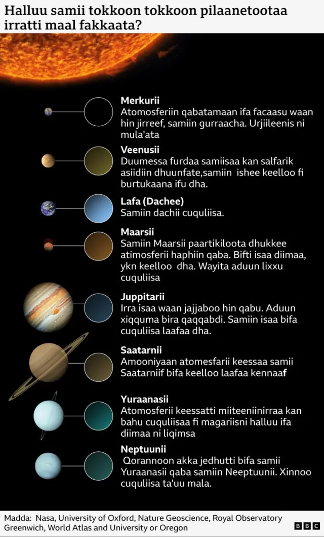 Giraafikii halluun samiiwwan pilaanetoota sirna solaarii keenyaa maal akka fakkaatu mul'isu