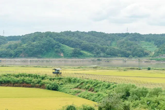 வட-தென் கொரிய எல்லையில் பதற்றம்