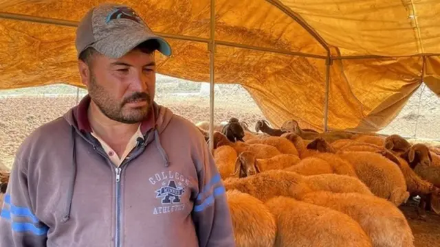 أبو عليا يربي أغنامه على أرض استأجرها بشكل مؤقت بعد نزوحه من أرضه.