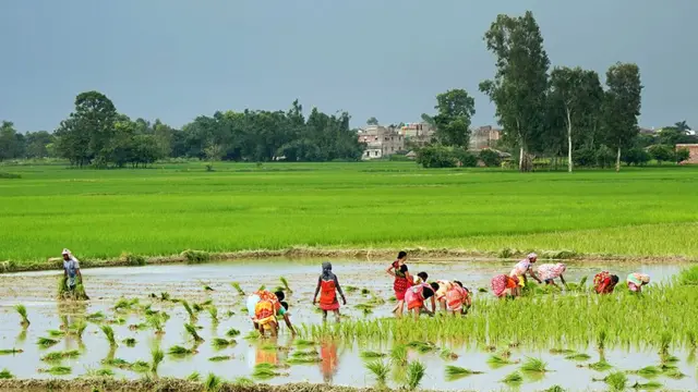 जग्गा वर्गीकरण