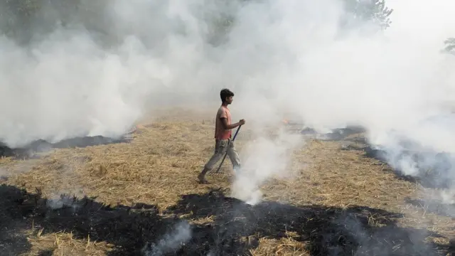 انڈیا، سموگ