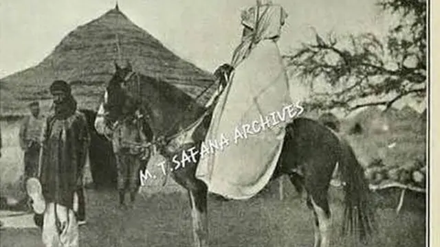 Sarki Alu