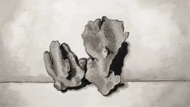 Koralni atoli, kao što su oni na Maršalskim ostrvima, formiraju se 10.000 godina. Američki nuklearni testovi uništili su čitava ostrva, ostavivši kratere vidljive na satelitskim snimcima