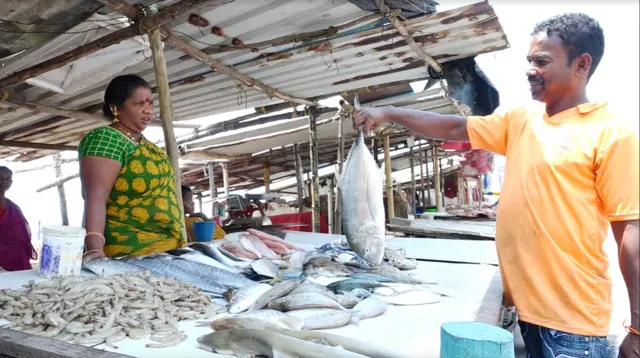 நொச்சிக்குப்பம்