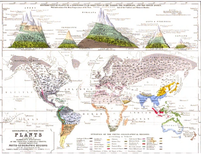 Distribuição geográficabetano ou betfair1848 plantas físicas do Atlas por Alexander Keith Johnston.