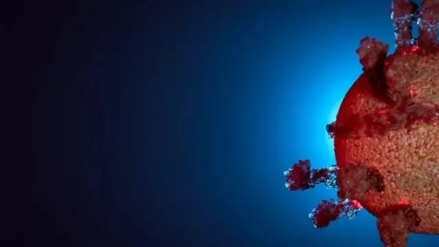 મહારાષ્ટ્રમાં ઓમિક્રૉનના BA.4 અને BA.5 સબવૅરિયન્ટના કેસ હોવાની પુષ્ટિ