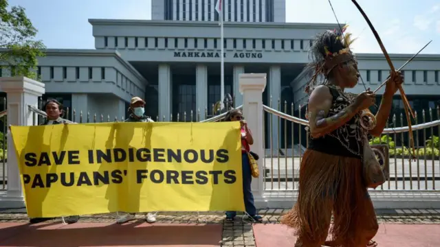 papua, lingkungan, hutan