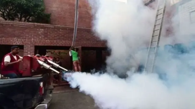 ঢাকাসহ সারাদেশেই এখন এডিস মশা নিধনের কার্যক্রম দৃশ্যমান নয়।