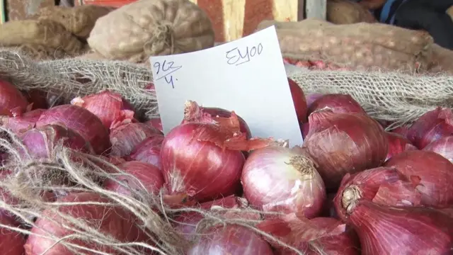 प्याज, नासिक