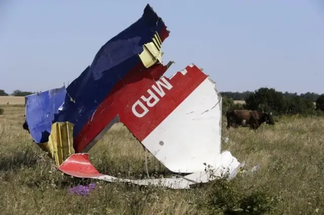 Malezya Hava Yolları'na ait uçağın enkazı