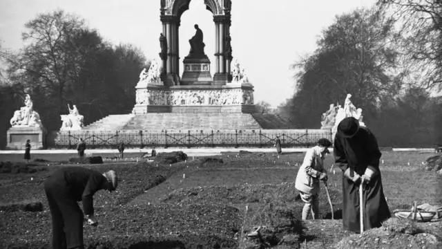 كيف تصمد المجتمعات عندما ينفد الغذاء؟