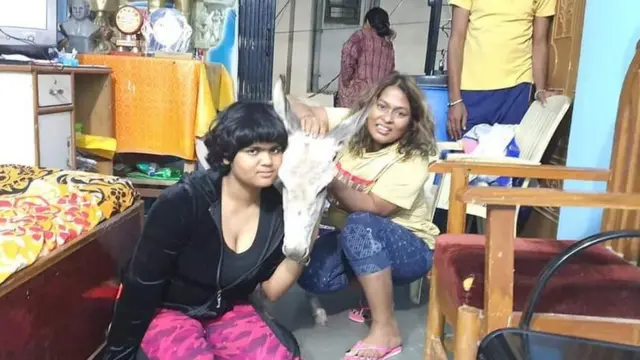 गुणरत्न सदावर्ते यांनी आपल्या घरी गाढव पाळला आहे.