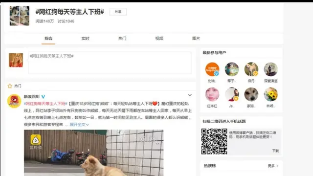 વિબો ઉપભોક્તા દ્વારા પોસ્ટ કરાયેલા હેશટેગ