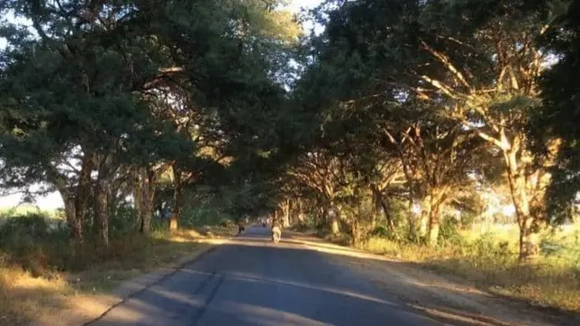 မြင်းခြံမြို့အဝင် ထနောင်းပင်တန်းရဲ့ ညနေဆည်းစျာ