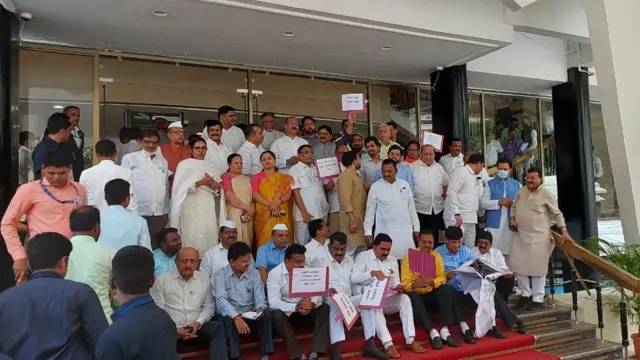 विधिमंडळ