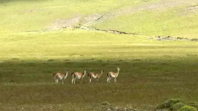 "Fin del mundo" en la Patagonia chilena.