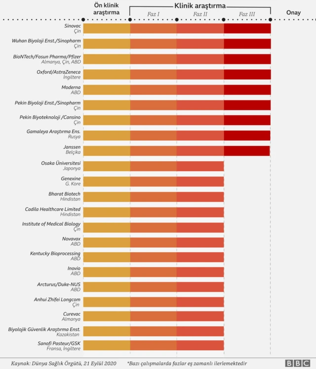 Aşı çalışmaları