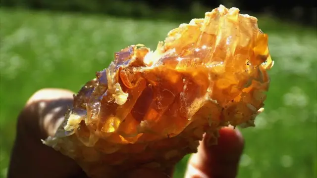 Медовая сота