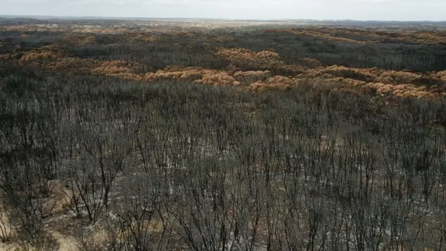 ஆஸ்திரேலியா