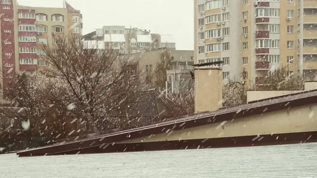 Назарій Вівчарик