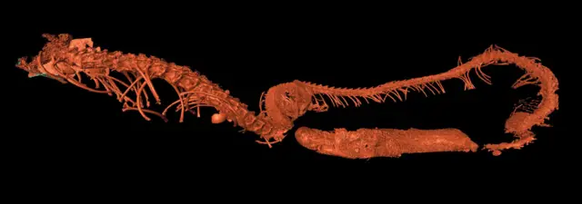 Reconstrucción digital de la serpiente.