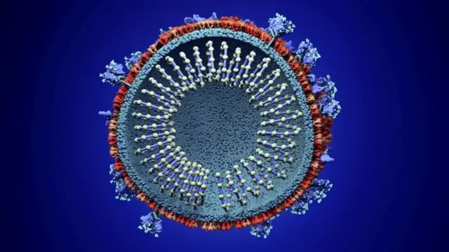 कोरोनाभाइरस