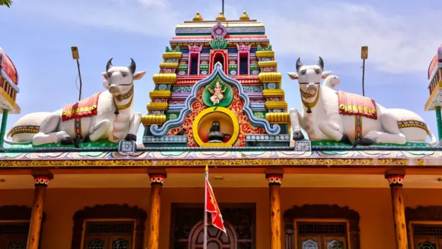 জাফনার একটি হিন্দু মন্দিরে গোমূর্তি। হিন্দুদের মতোই বৌদ্ধদের কাছেও গরু পবিত্র প্রাণী।